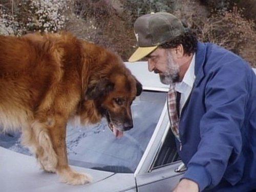 Highway to Heaven Season 3 Episode 3 - For the Love of Larry