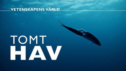 Vetenskapens värld Season 48 Episode 23 - Episode 23