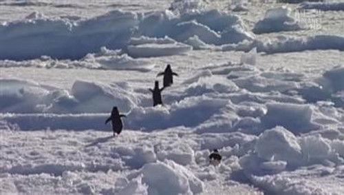 Whale Wars Season 1 Episode 4 - We Are Hooligans