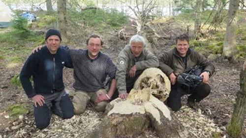 Kill & Eat Season 6 Episode 5 - En bæver i Sverige, 2. forsøg