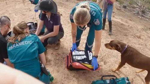 Paramedics Season 6 Episode 1 - Episode 1