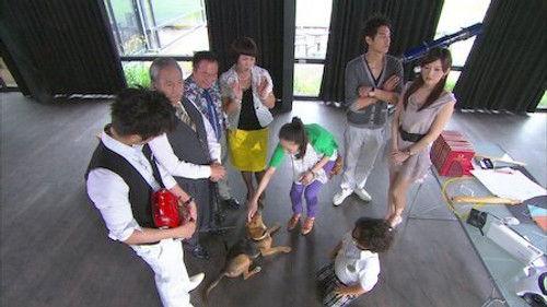 Easy Fortune Happy Life Season 1 Episode 11 - Episode 11