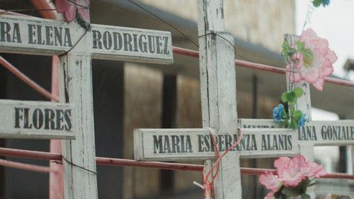 POV Season 29 Episode 9 - Kingdom of Shadows