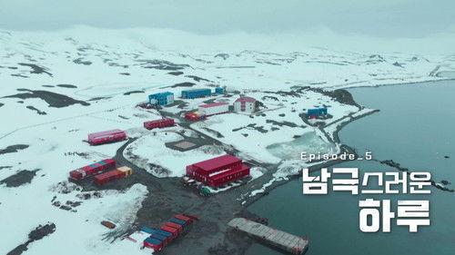 Chef of Antarctica Season 1 Episode 5 - Episode 5