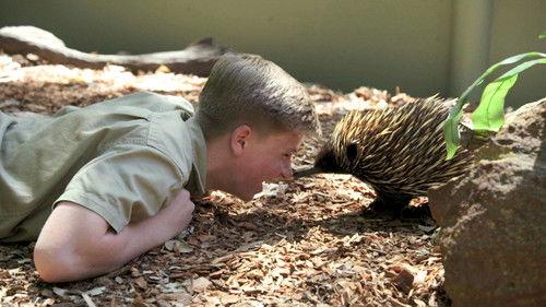 Crikey! It's the Irwins Season 1 Episode 1 - Steve’s Legacy Continues