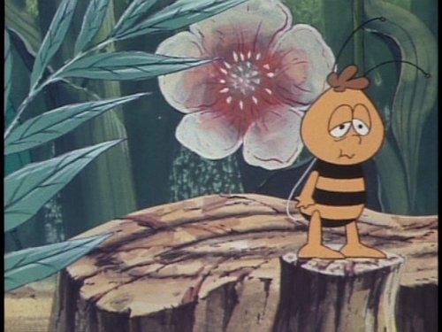 Maya the Bee Season 2 Episode 9 - Queen Maya