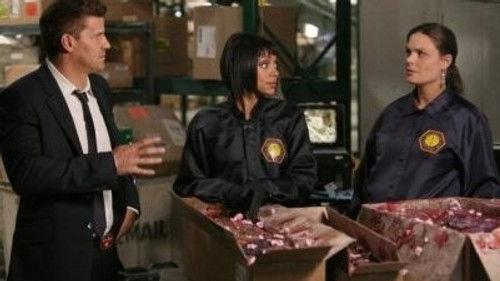 Bones Season 7 Episode 4 - The Male in the Mail