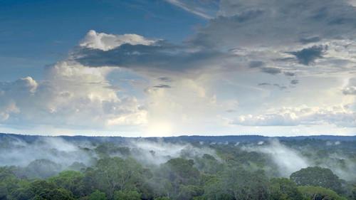 H2O: The Molecule that Made Us Season 1 Episode 1 - Pulse