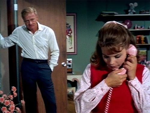 Family Affair Season 1 Episode 16 - That Was the Dinner That Wasn't