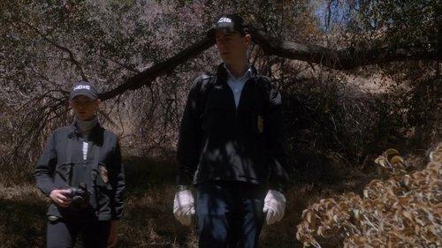 NCIS Season 13 Episode 6 - Viral
