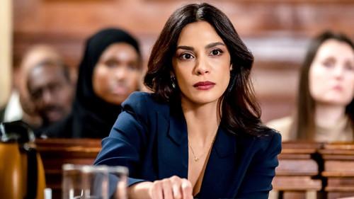 Law & Order Season 22 Episode 13 - Mammon