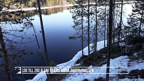 Den stora älgvandringen Season 1 Episode 1 - Slow tv day 1