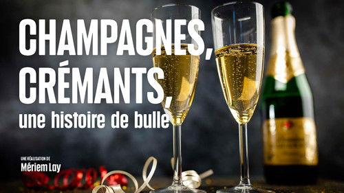 Le Doc du dimanche Season 9 Episode 14 - Episode 14