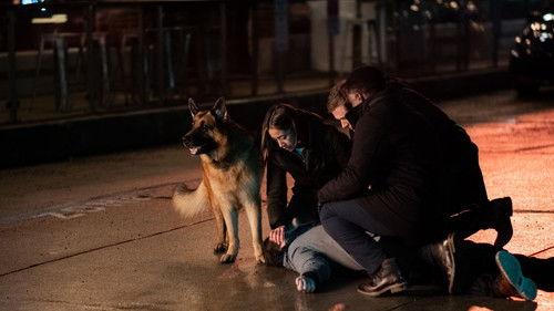 Hudson & Rex Season 5 Episode 20 - One for the Road