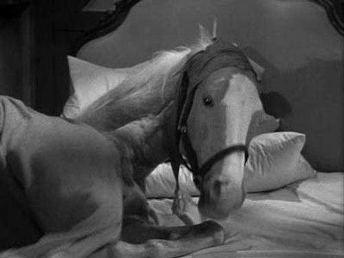 Mister Ed Season 2 Episode 13 - Ed's Bed