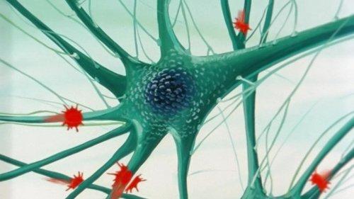 Once Upon a Time... Life Season 1 Episode 10 - The Neurones