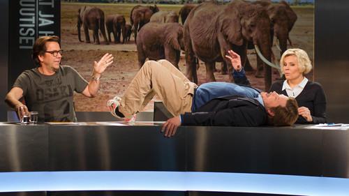 The Good and the Bad News Season 8 Episode 10 - Episode 10