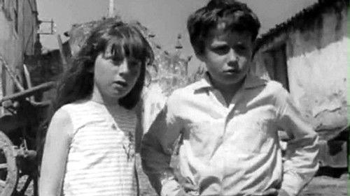 Poly Season 4 Episode 9 - Episode 9