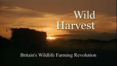 Natural World Season 24 Episode 9 - Wild Harvest