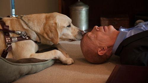 Growing Up Fisher Season 1 Episode 11 - Secret Lives of Fishers