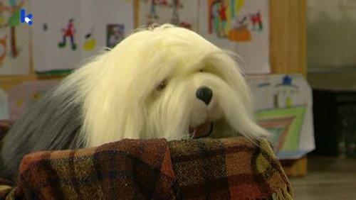 Samson & Gert Season 13 Episode 13 - Burgemeester Samson