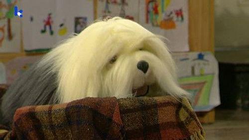 Samson & Gert Season 13 Episode 13 - Burgemeester Samson