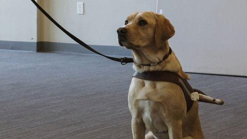 Pick of the Litter Season 1 Episode 5 - Meet Your Match