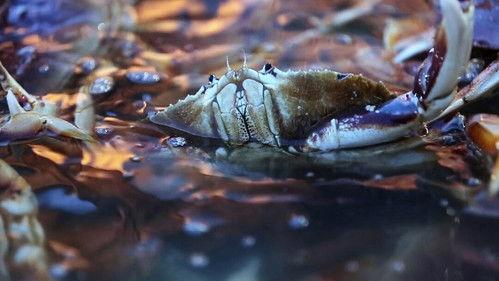 Deadliest Catch: Dungeon Cove Season 1 Episode 7 - Winter's Wake