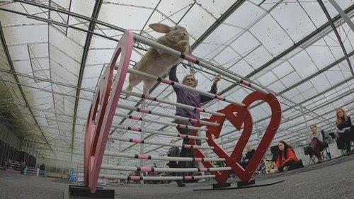 The Secret Life of Our Pets Season 1 Episode 3 - Athletes