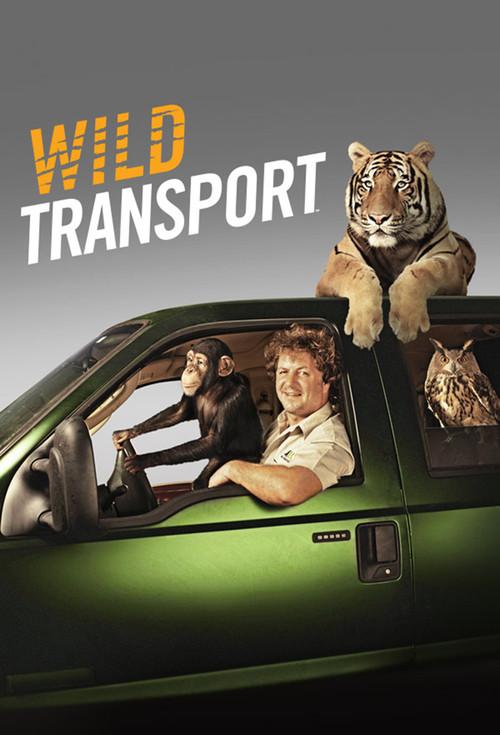 Wild Transport poster