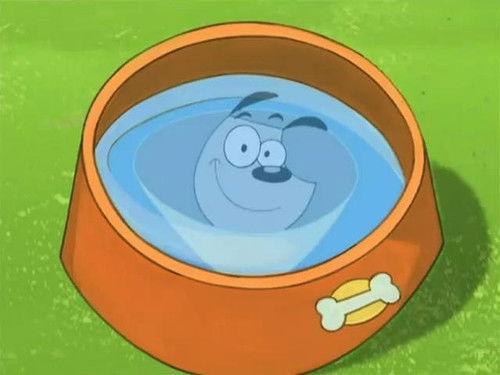 Poochini Season 1 Episode 1 - Coffee Dog / Amnesiac Dog / Leaf Me Alone