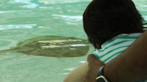 Secrets of the Zoo: Tampa Season 1 Episode 1 - Stingray Stunner