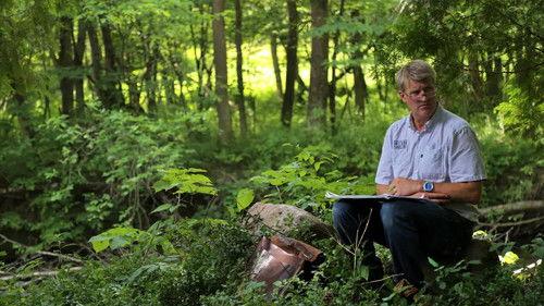 Treehouse Masters Season 7 Episode 6 - Swiss Family Surprise