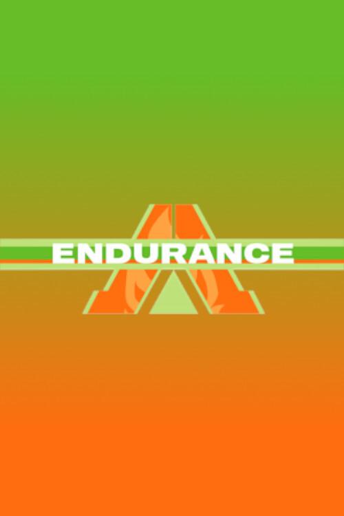 Endurance poster