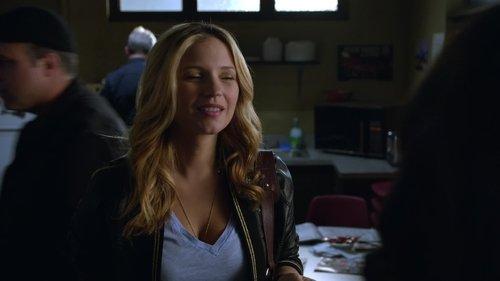 Blue Bloods Season 4 Episode 10 - Mistaken Identity