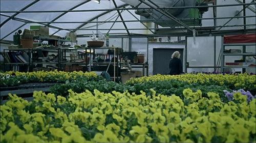 Vier Frauen und ein Todesfall Season 2 Episode 8 - Zugeschüttet