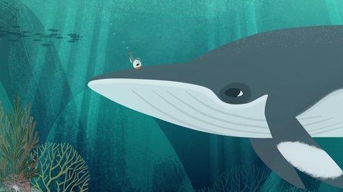 Puffin Rock Season 1 Episode 27 - The Sad Whale