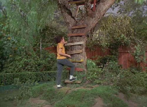 The Brady Bunch Season 2 Episode 11 - What Goes Up...