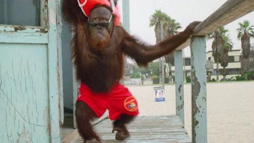 Baywatch Season 9 Episode 10 - Friends Forever