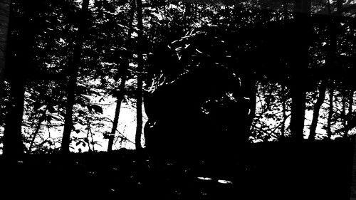 Vita Carnis Season 2 Episode 5 - Species Anomaly Report