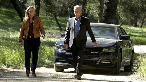 NCIS Season 14 Episode 22 - Beastmaster