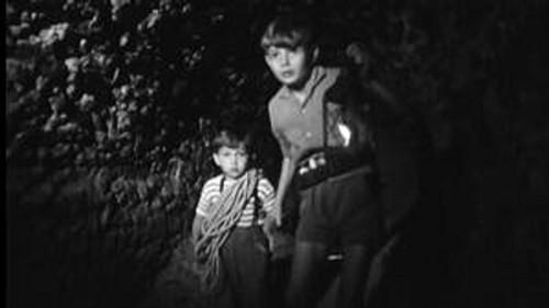 Poly Season 1 Episode 11 - Episode 11