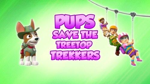 PAW Patrol Season 8 Episode 25 - Pups Save the Treetop Trekkers