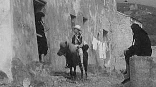 Poly Season 3 Episode 1 - Episode 1