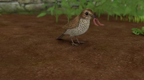 Peter Rabbit Season 1 Episode 10 - The Tale of the Wriggly Worms