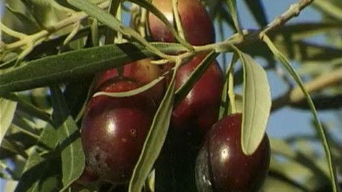 Cestománie Season 2 Episode 13 - Episode 13