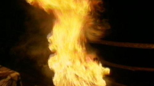 Funniest Pets & People Season 2 Episode 5 - The Holiday Season