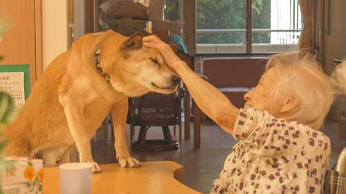 NHK WORLD PRIME Season 7 Episode 5 - End-of-Life Guardians