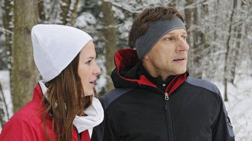 undefined Season 41 Episode 29 - Episode 29