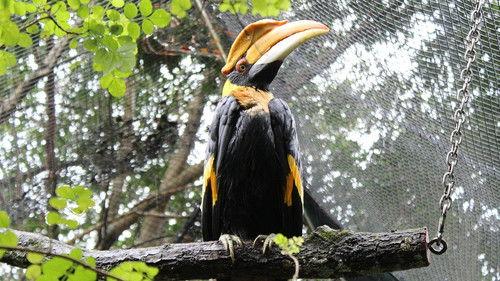 Secrets of the Zoo: Tampa Season 4 Episode 5 - Oh, the Zoomanity!